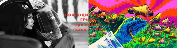 МДПВ Абаза