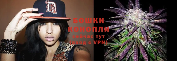 сатива Абинск