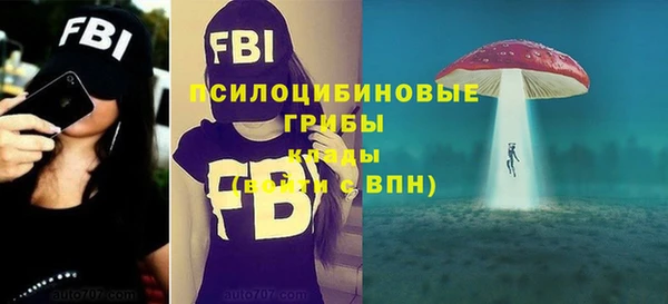 а пвп мука Абдулино