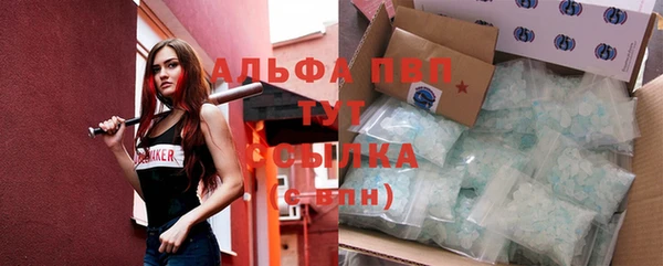 сатива Абинск