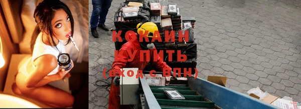 МДПВ Абаза