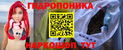 стафф Заволжье