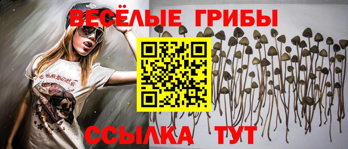 Галлюциногенные грибы мицелий Рязань