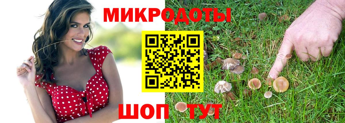 Галлюциногенные грибы MAGIC MUSHROOMS  Псилоцибиновые грибы Psilocybine cubensis  Рязань  Вход с VPN 